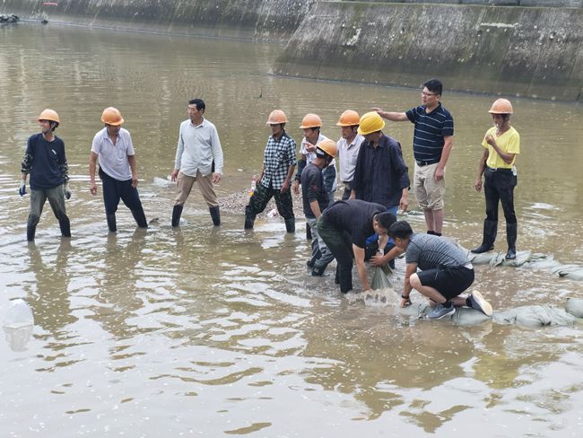 �ڲ��ᡤרҵЧ��,����Ϊ�� -�ٷ���վ