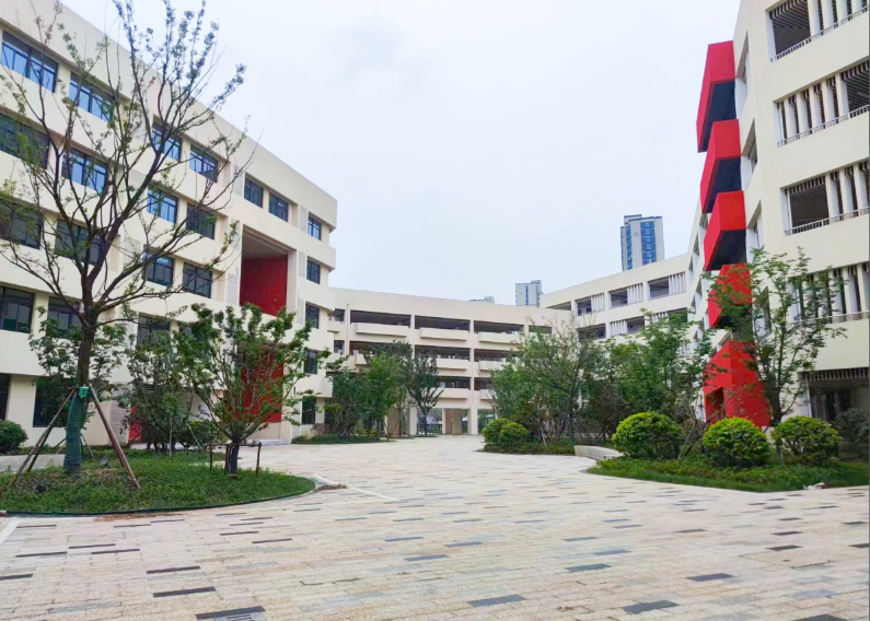 �ڲ��ᡤרҵЧ��,����Ϊ�� -�ٷ���վ