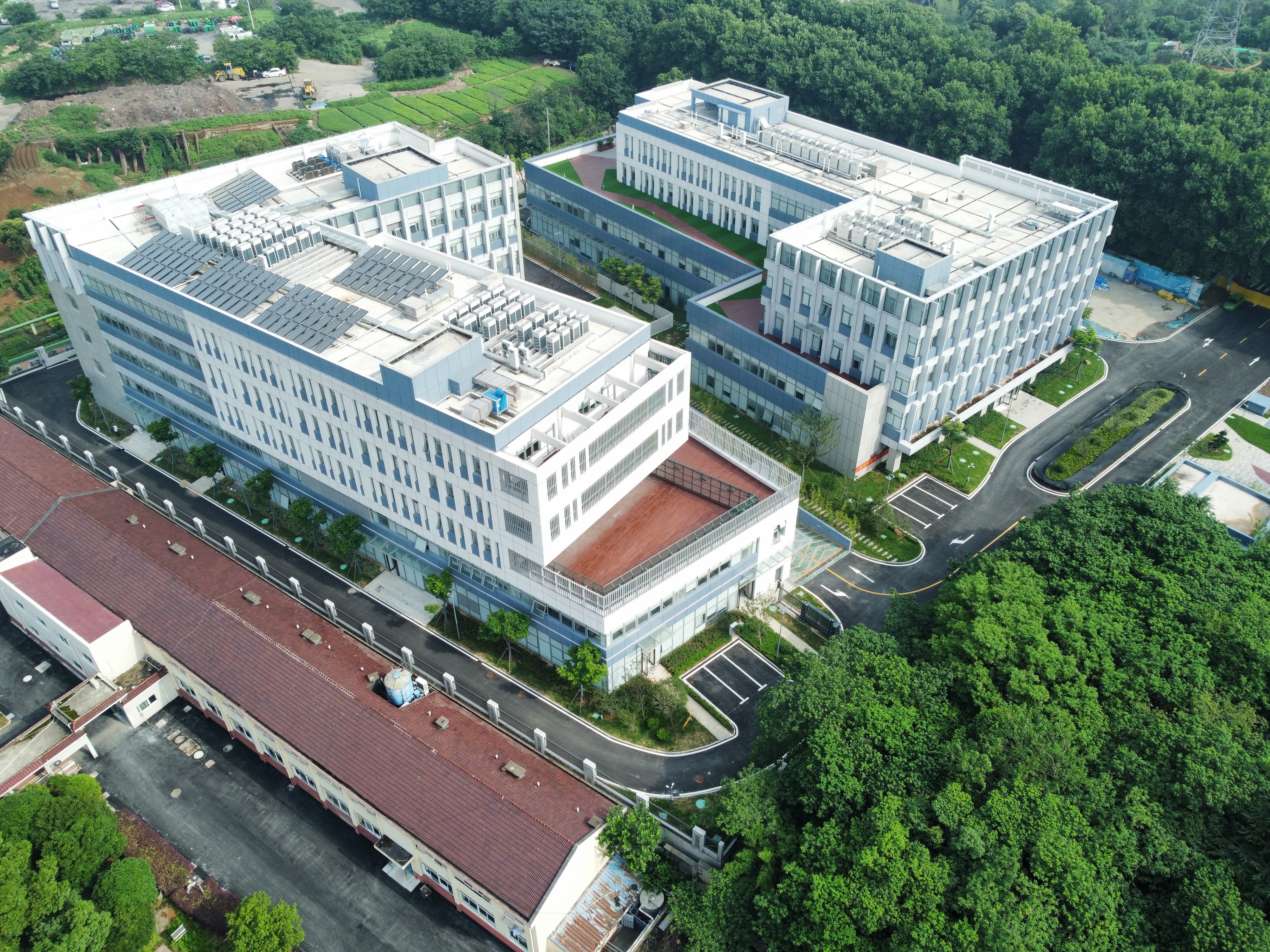 �������������������ģ�������������Ч�����ģ�