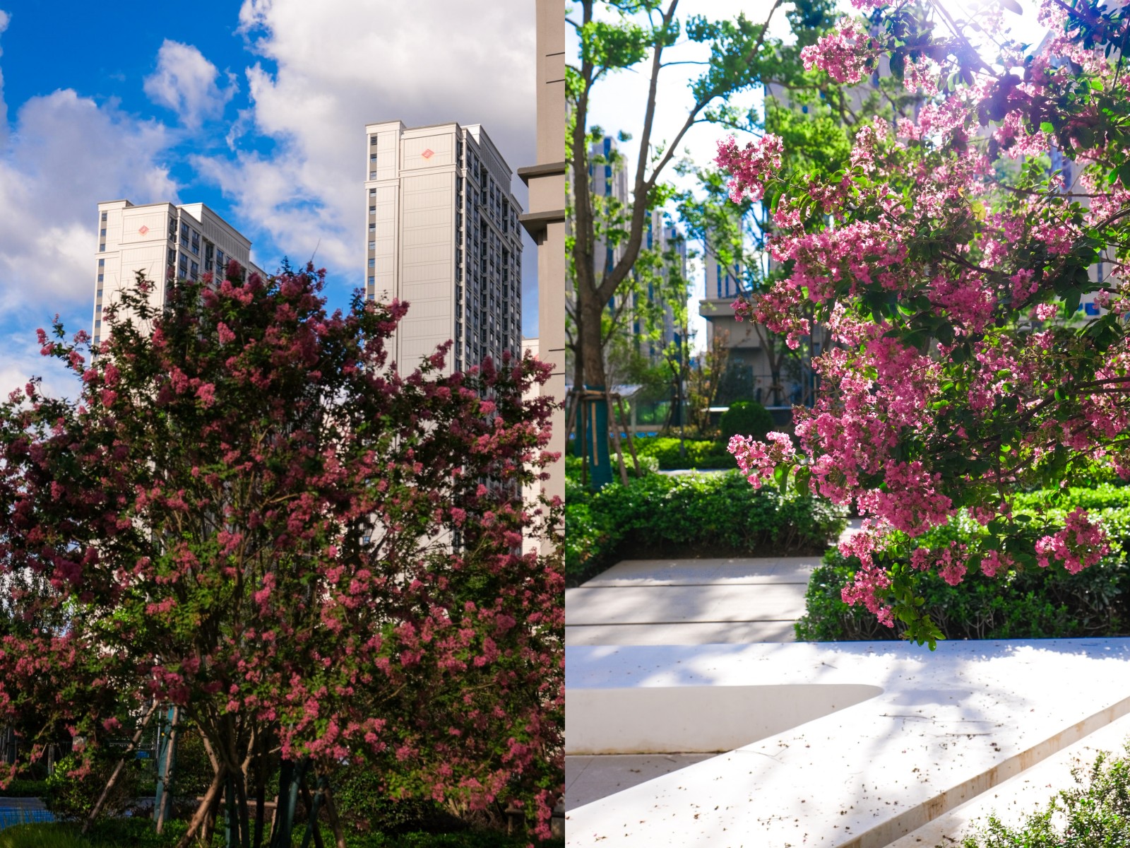 ̨���������������һ��������Ŀbe like��ͼ˵���ܷ���