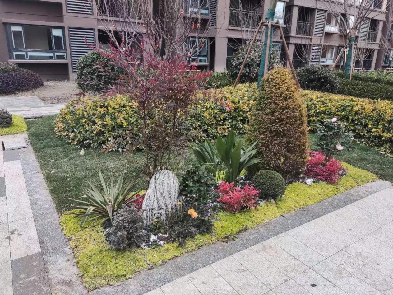 ����2551�װ��ܷ������깤